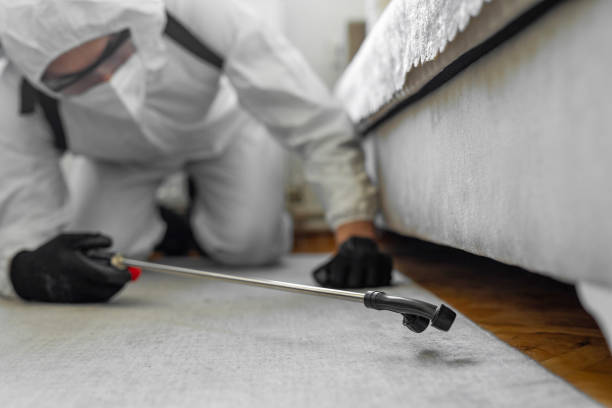 Professional Bed Bug Control technician working in Union Springs, NY