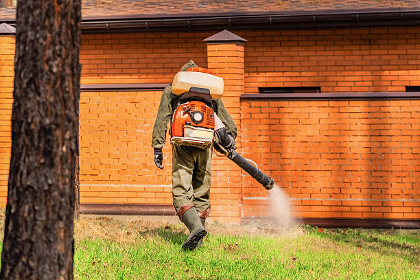 Trusted Termite Control service in Union Springs, NY - Nex Pest Control